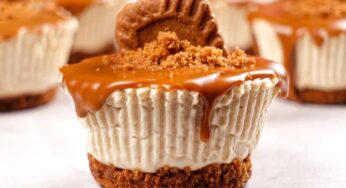 Dolce facile in 5 minuti: senza forno, latte condensato e farina