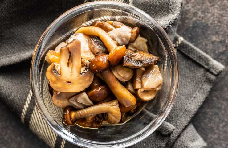 Pasta con funghi