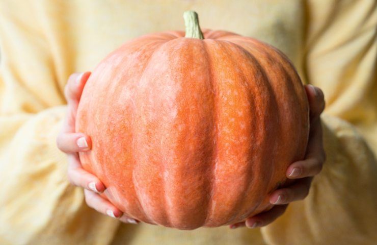Come fare le polpette di zucca Come fare le polpette di zucca